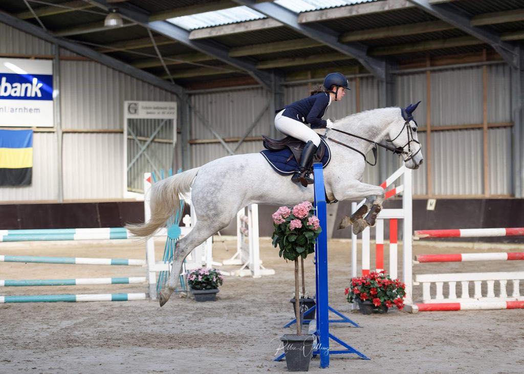 Het verhaal van Fayette